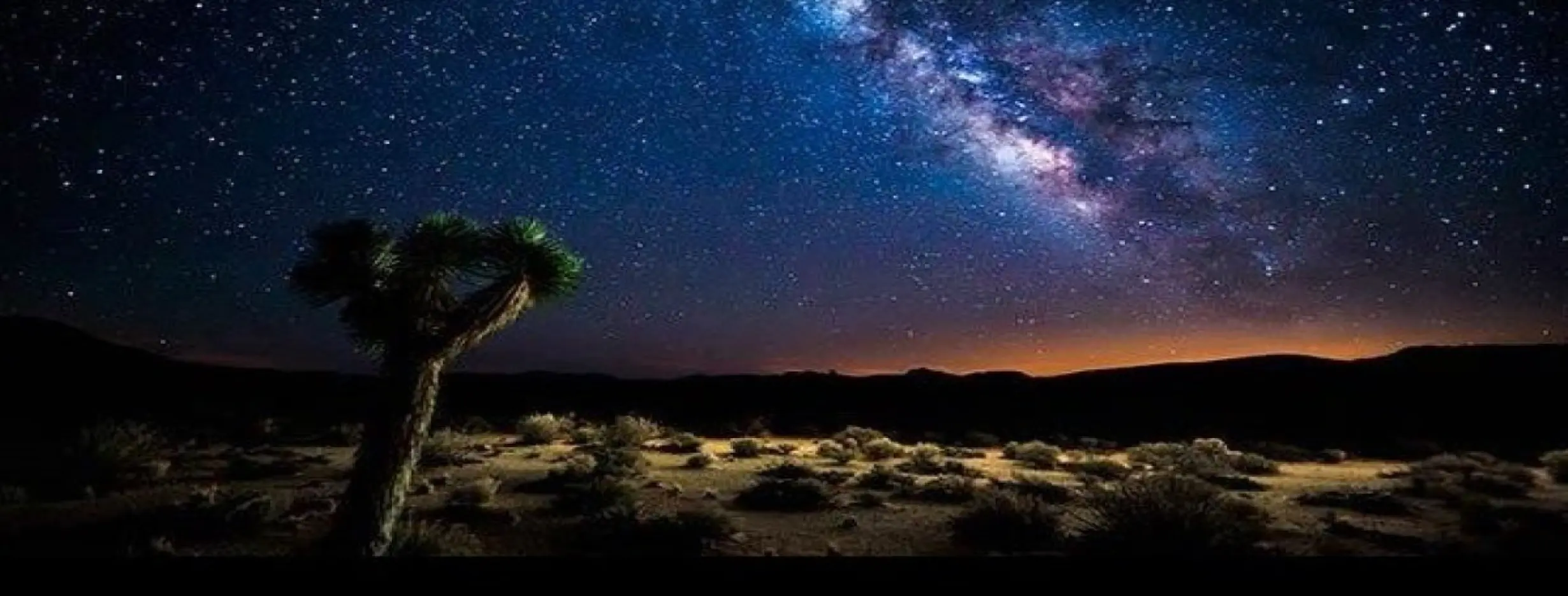 Image for Stargazing Paradise